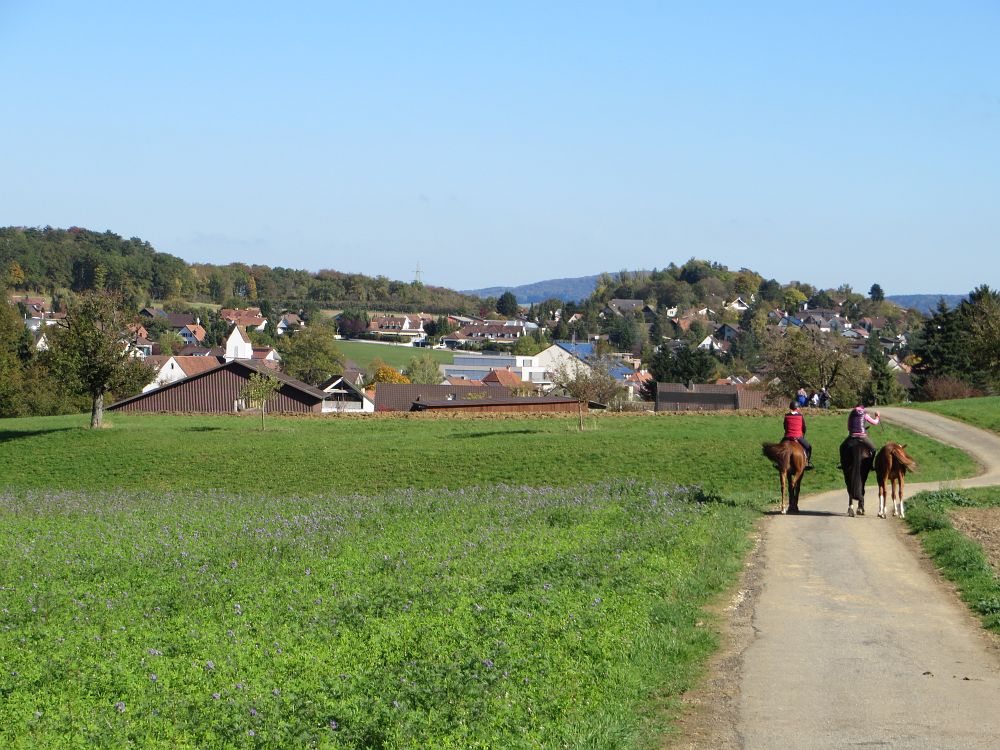 Hofstetten in Sicht