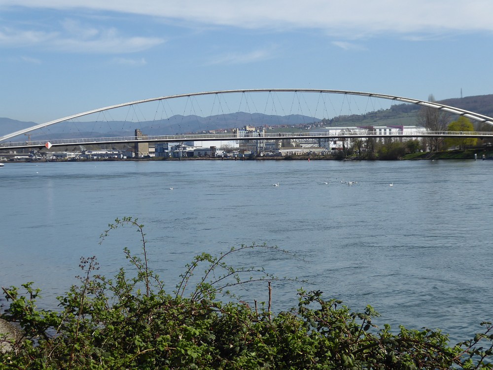 Die Brücke in voller Pracht